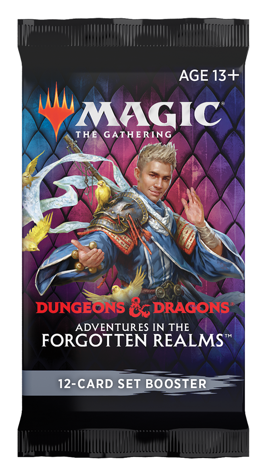 MTG Set Booster Pack: Adventures in the Forgotten Realms
