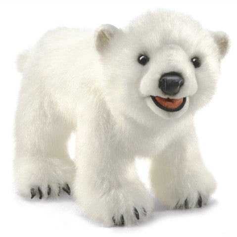Polar Bear Cub