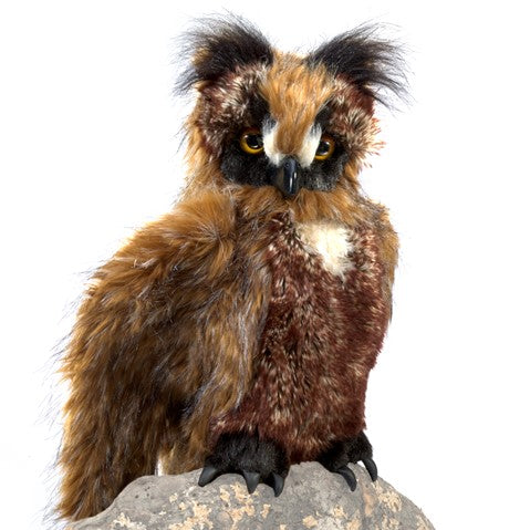 Great Horned owl